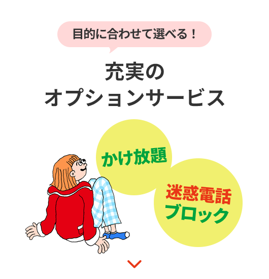 目的にあわせて選べる! 充実のオプションサービス